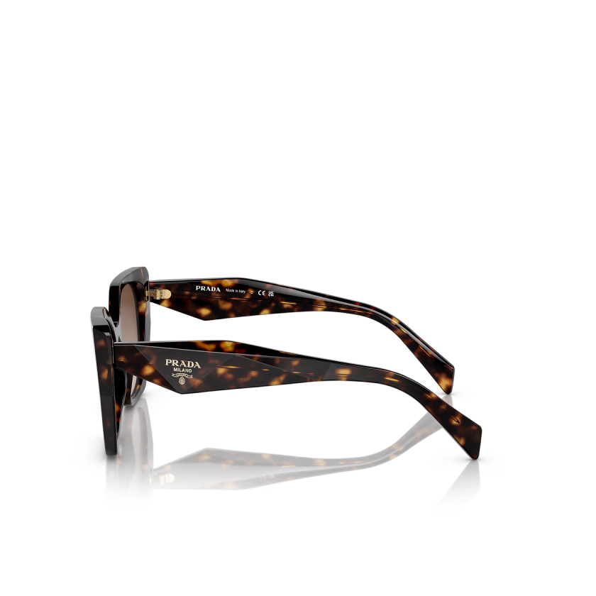 Prada Butterfly Sunglasses PR 19ZS Tortoise/Brown Gradient