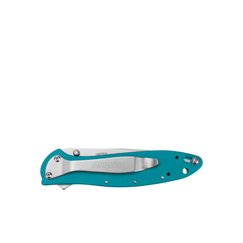 Kershaw Leek Pocket Knife Teal 3" 14C28N Stainless Steel Drop Point Blade